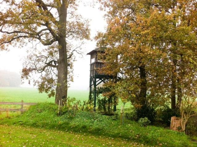 Landhotel Waldseiter Hof Bad Bentheim Kültér fotó
